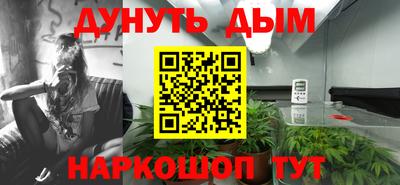 мдпв Гусев
