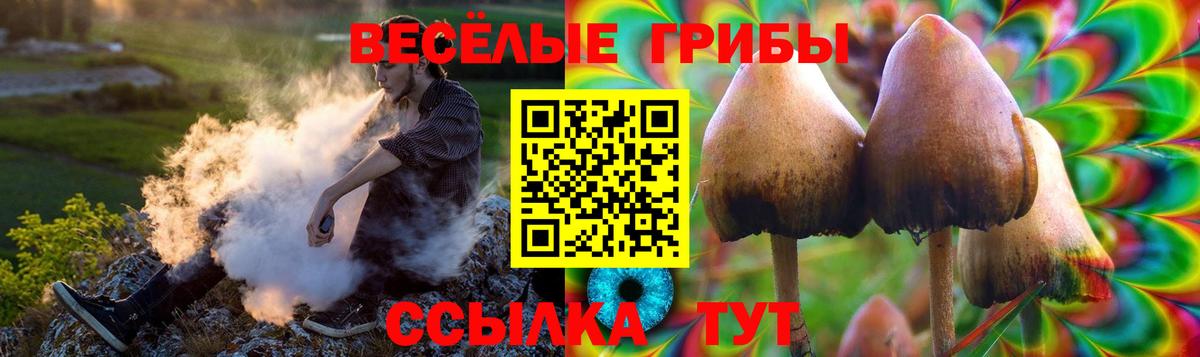 Галлюциногенные грибы MAGIC MUSHROOMS Малоярославец