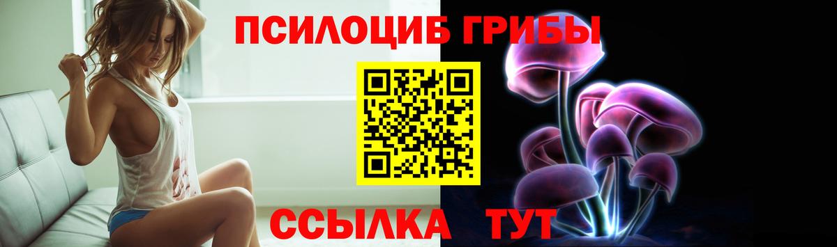 Малоярославец  Галлюциногенные грибы Psilocybe  Вход с VPN 